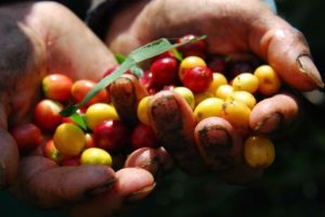 Fotografie Colombia bessen - Anders2