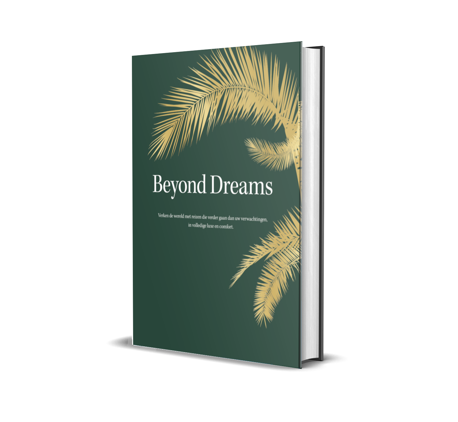 BEYOND DREAMS